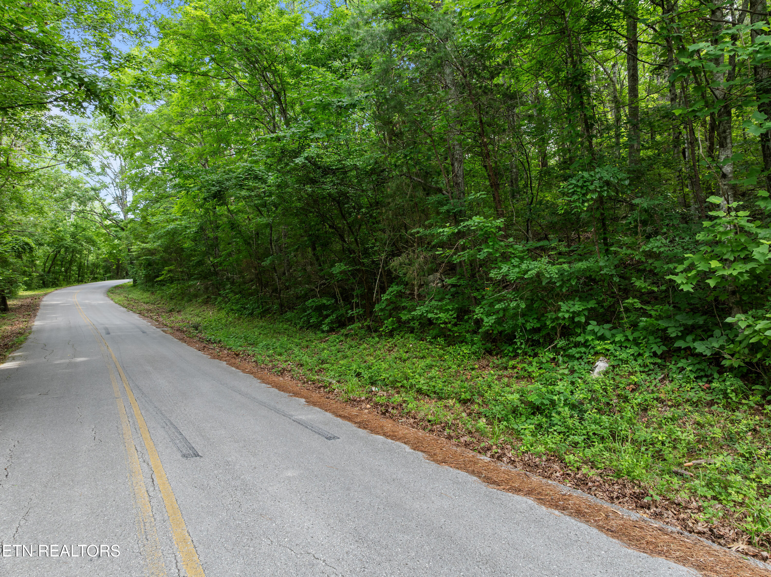 Tbd Turners Bend Road Mcminnville TN 37110