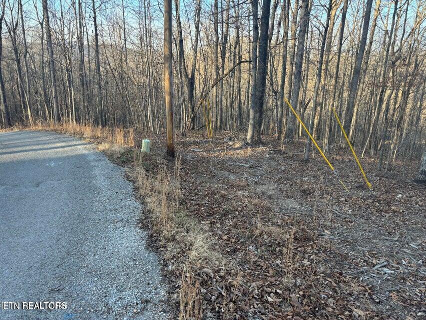 Lake Drive Lane Lafollette TN 37766