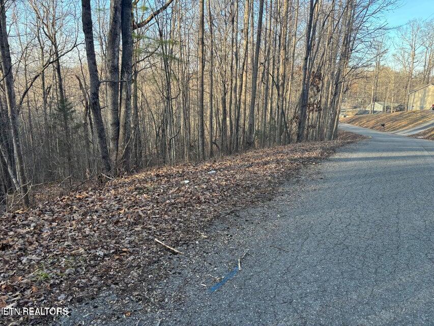 Lake Drive Lane Lafollette TN 37766