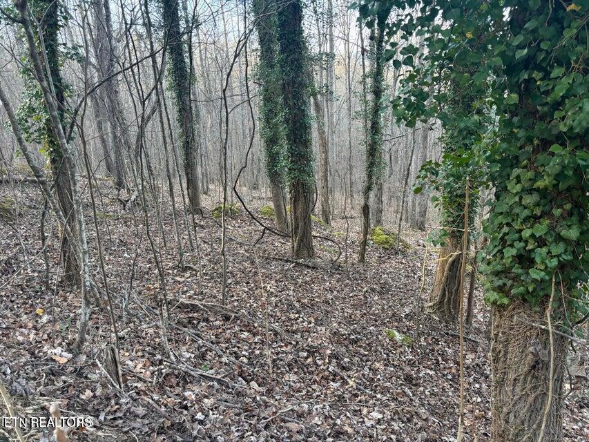 Lake Drive Lane Lafollette TN 37766