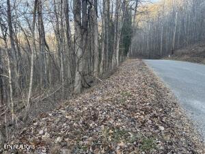 Lake Drive Lane Lafollette TN 37766