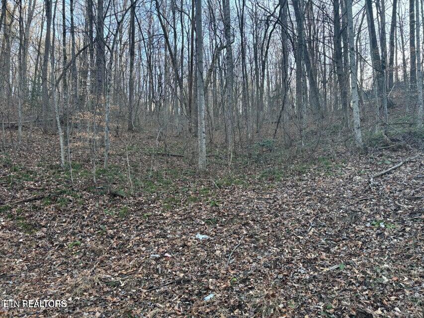 Lake Drive Lane Lafollette TN 37766