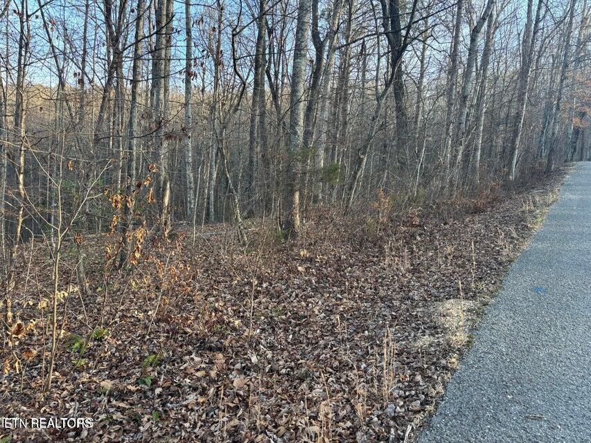 Lake Drive Lane Lafollette TN 37766