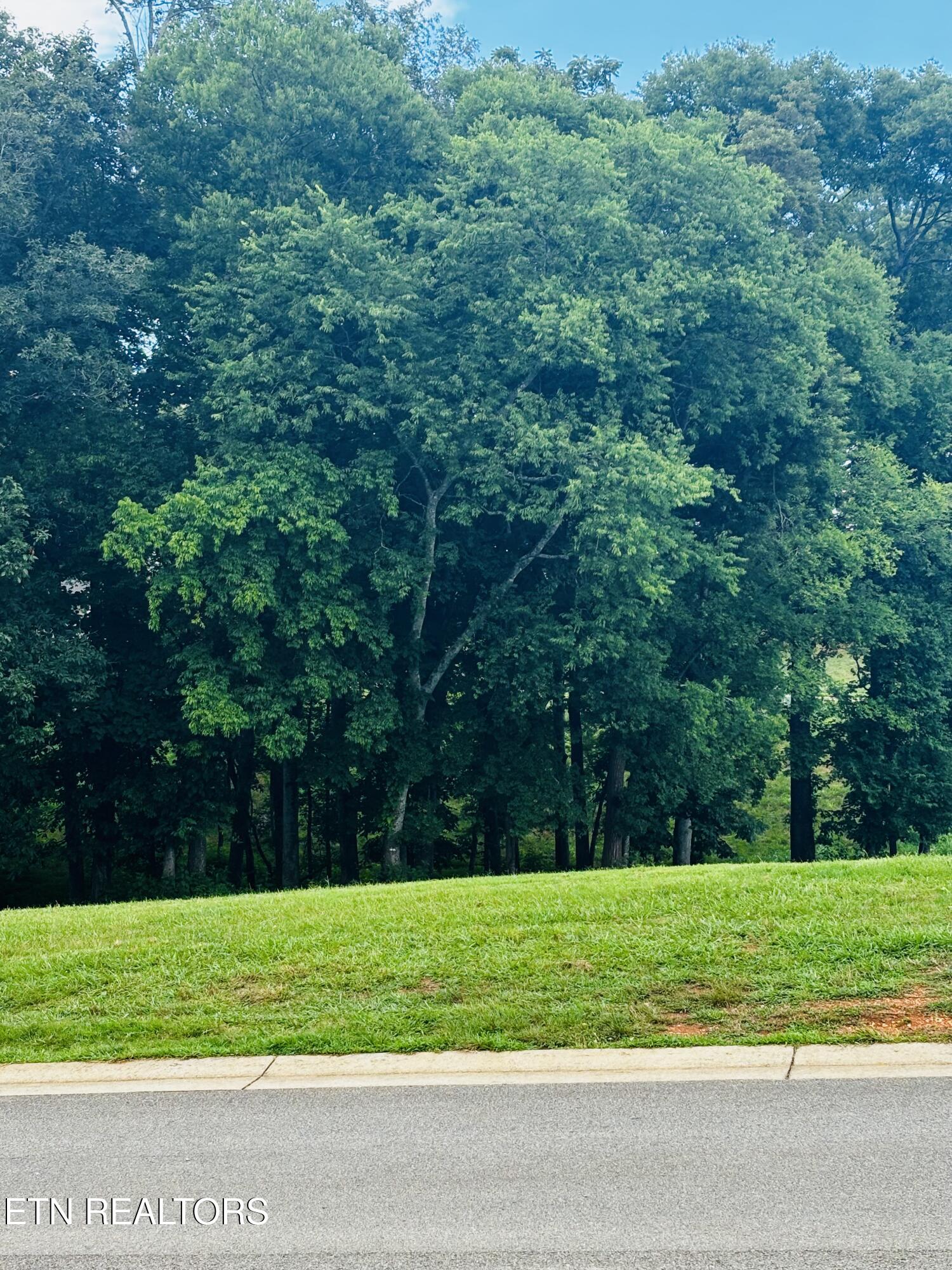 3964 Persimmon Ridge Loudon TN 37774