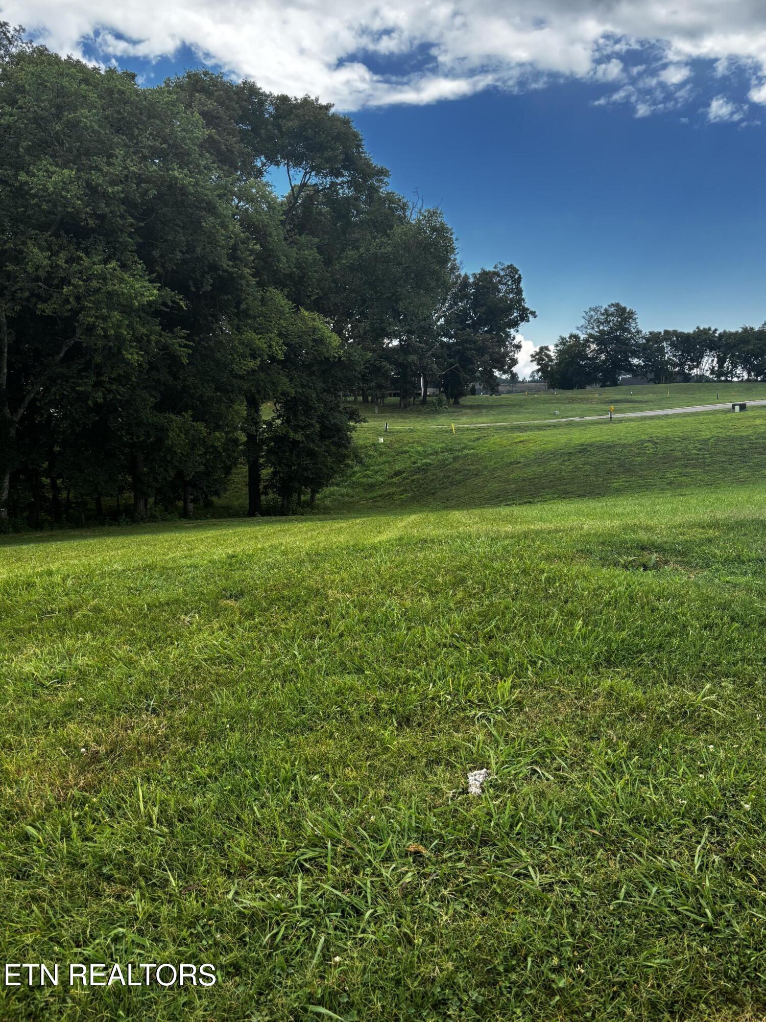 3964 Persimmon Ridge Loudon TN 37774