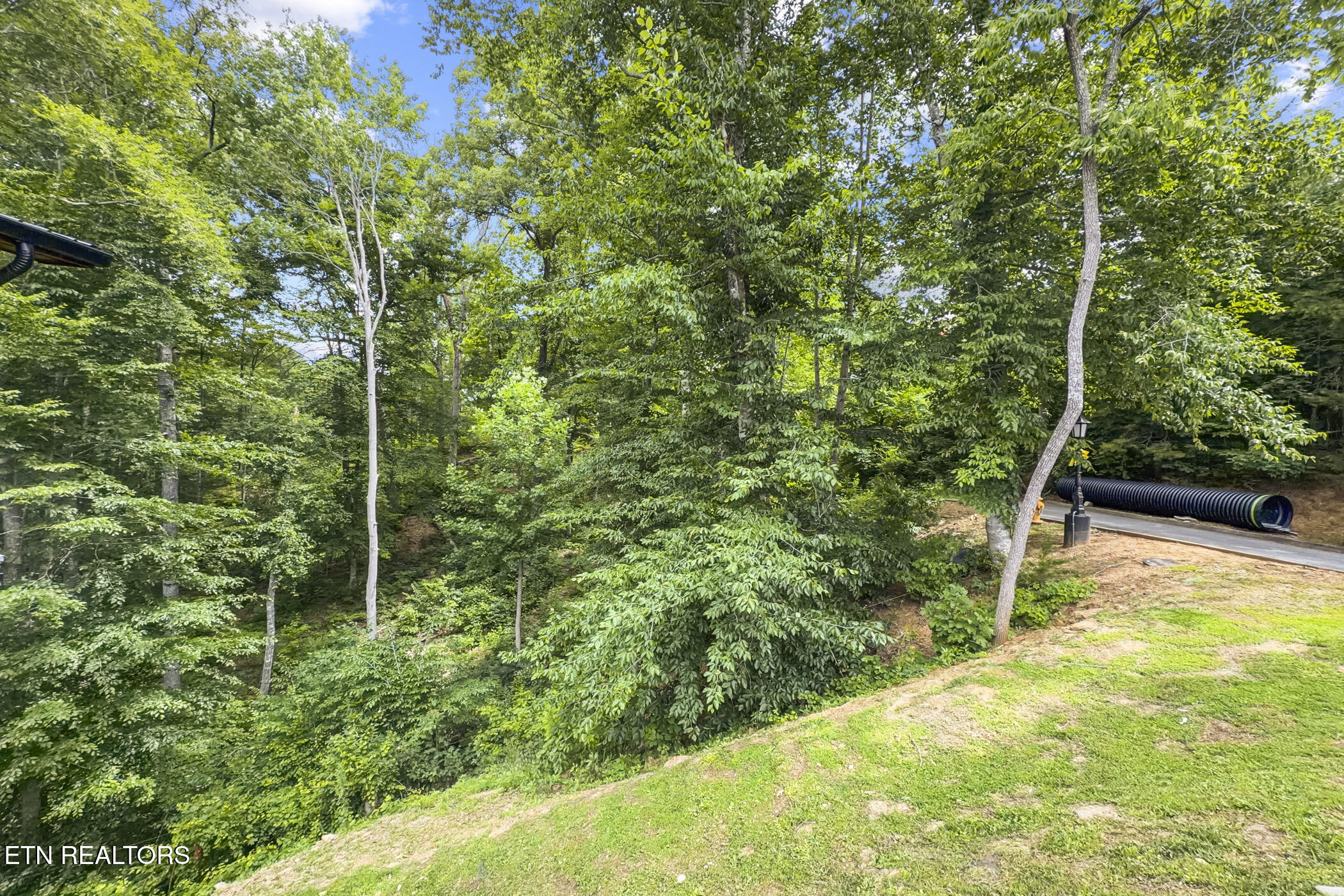 Lot #135 Wild Heron Way Sevierville TN 37862