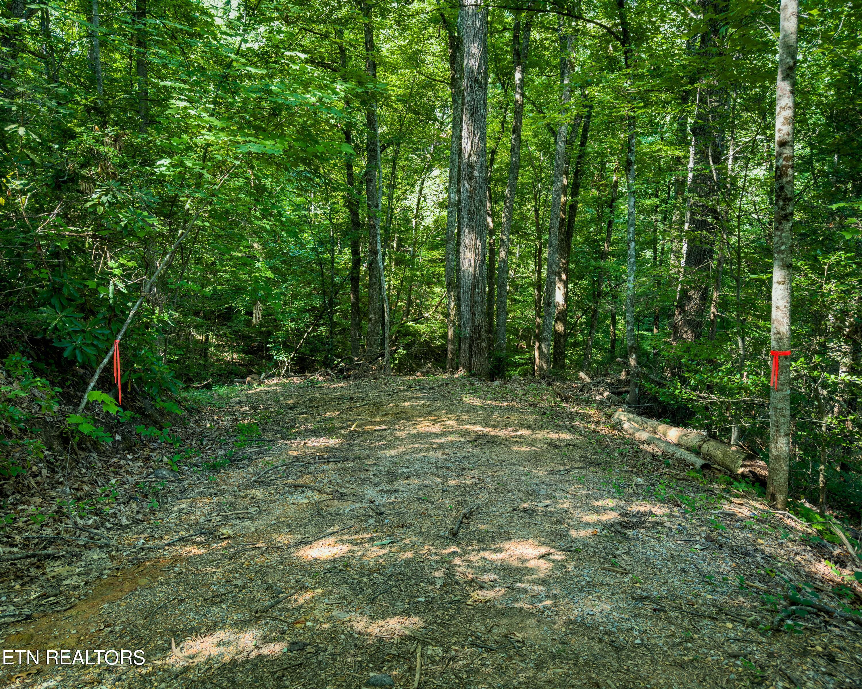 3 Tracts Wilson Hollow Way Sevierville TN 37876