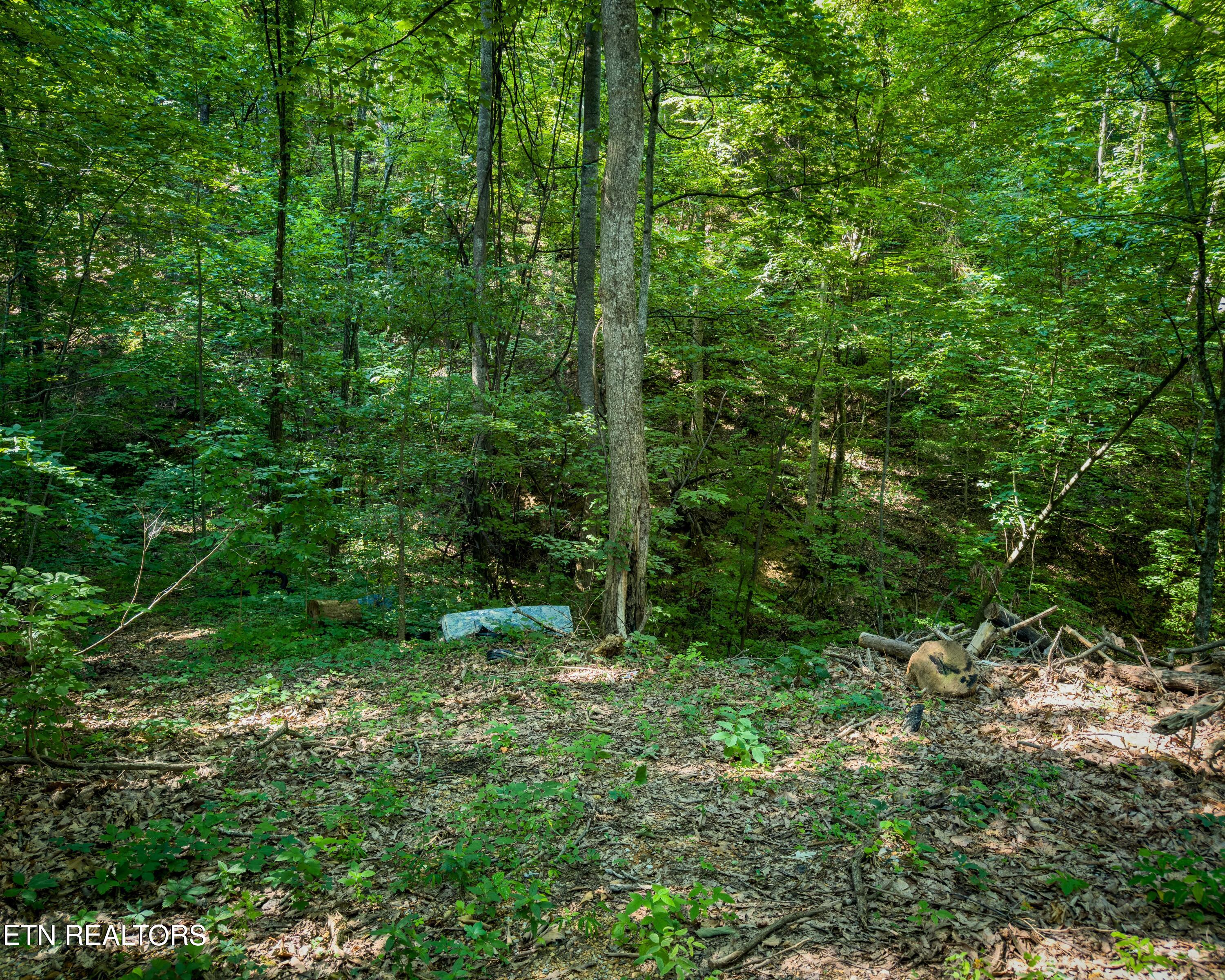 3 Tracts Wilson Hollow Way Sevierville TN 37876