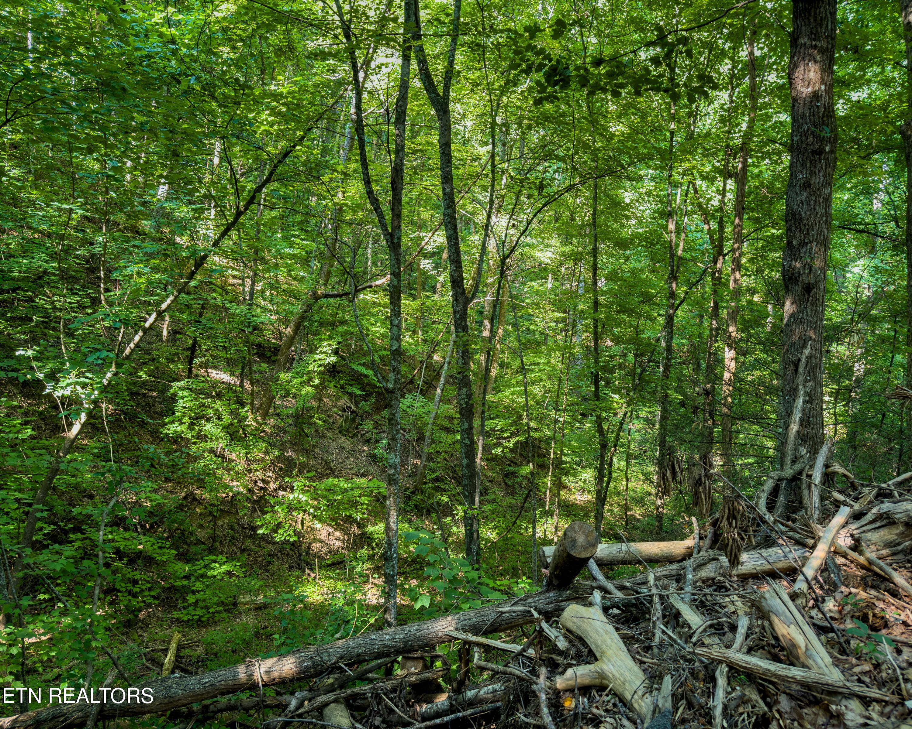 3 Tracts Wilson Hollow Way Sevierville TN 37876