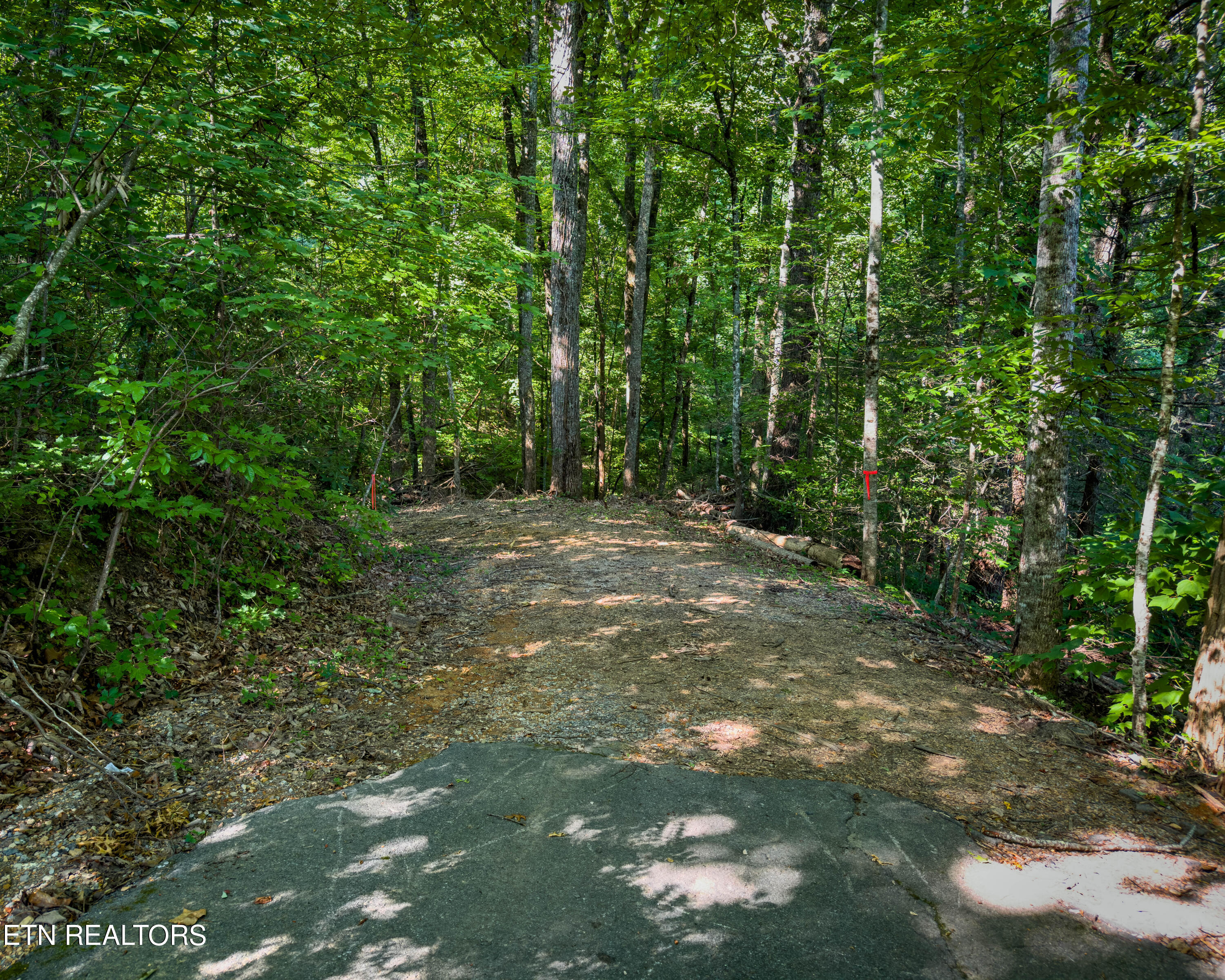 3 Tracts Wilson Hollow Way Sevierville TN 37876
