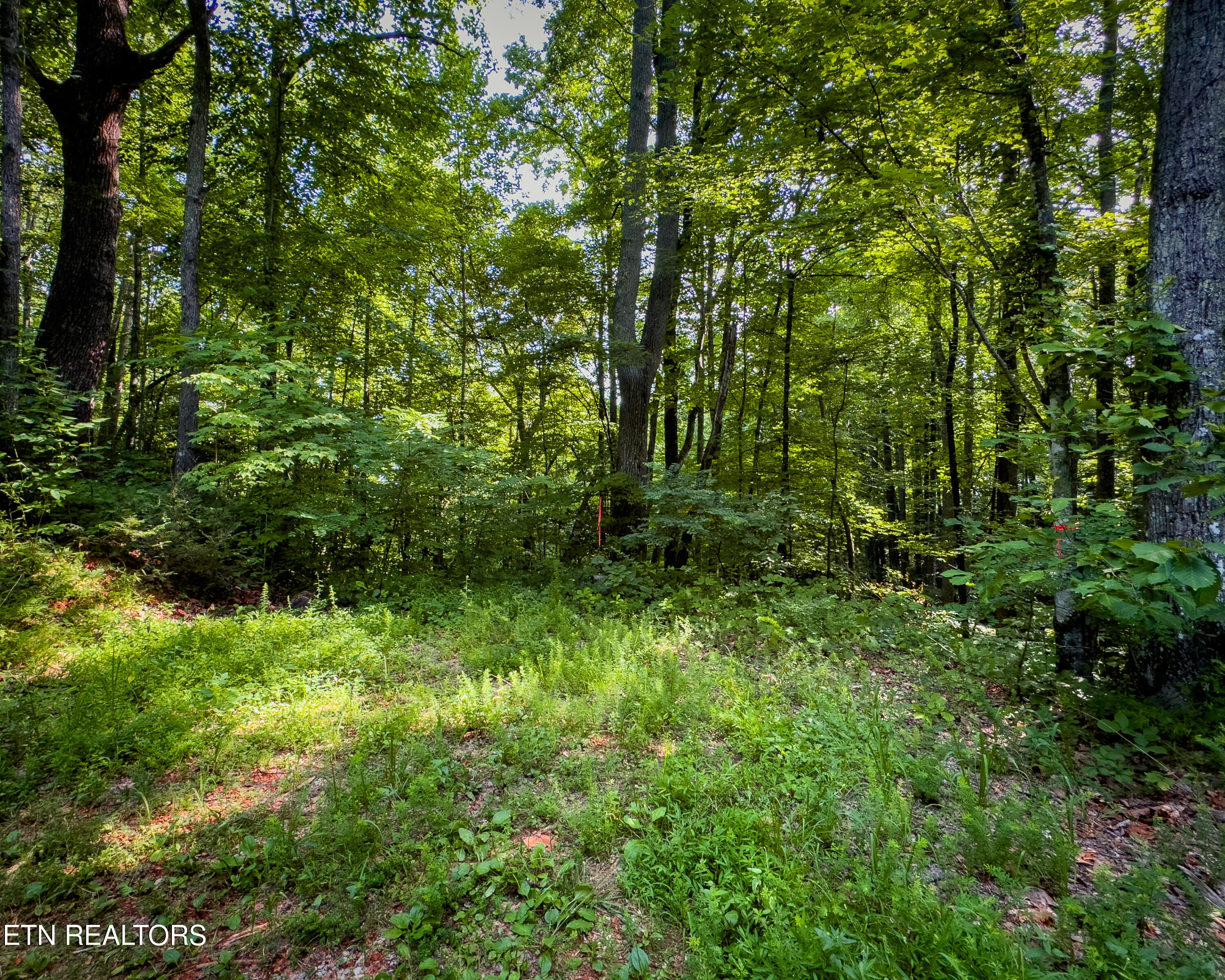 3 Tracts Wilson Hollow Way Sevierville TN 37876