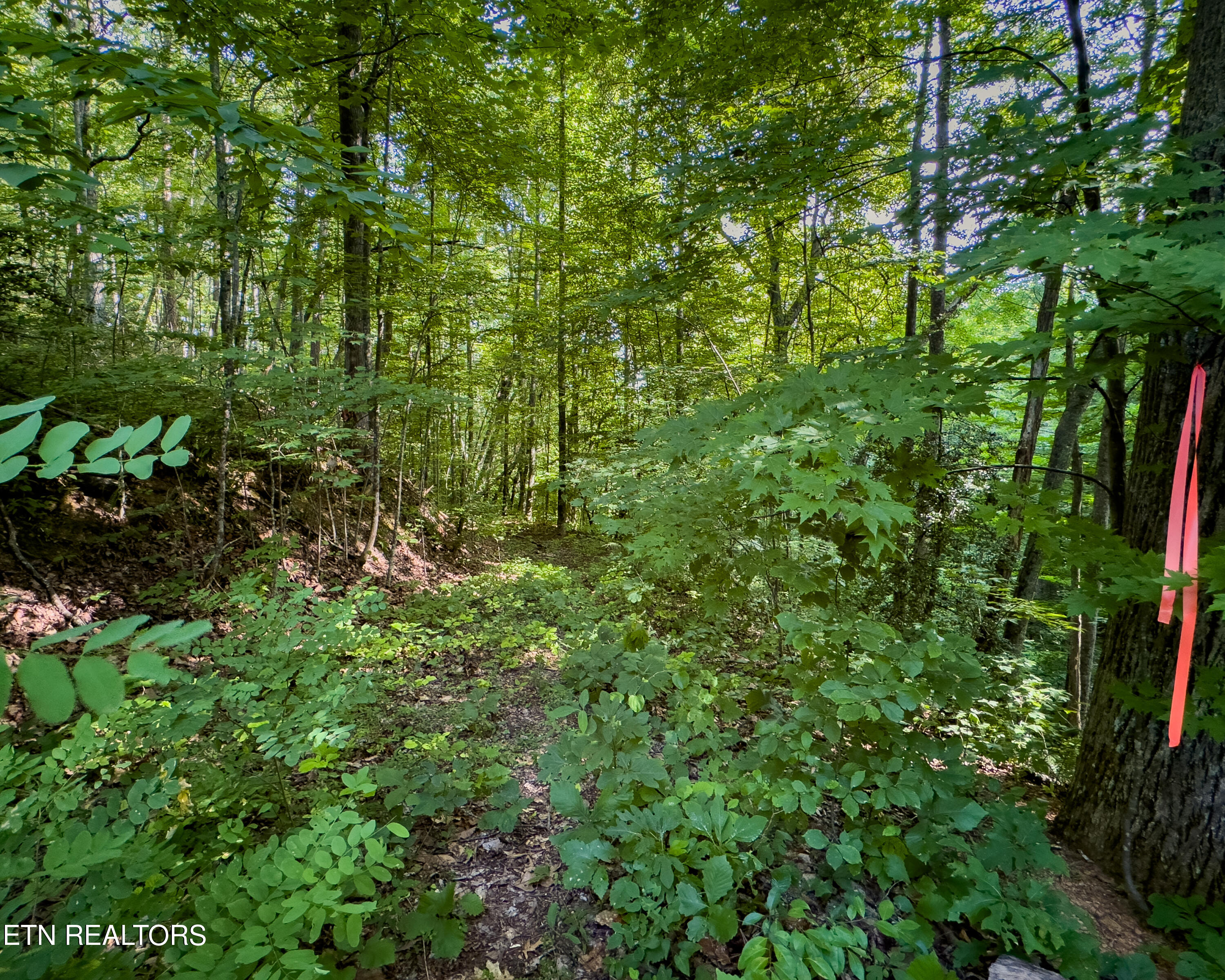 3 Tracts Wilson Hollow Way Sevierville TN 37876