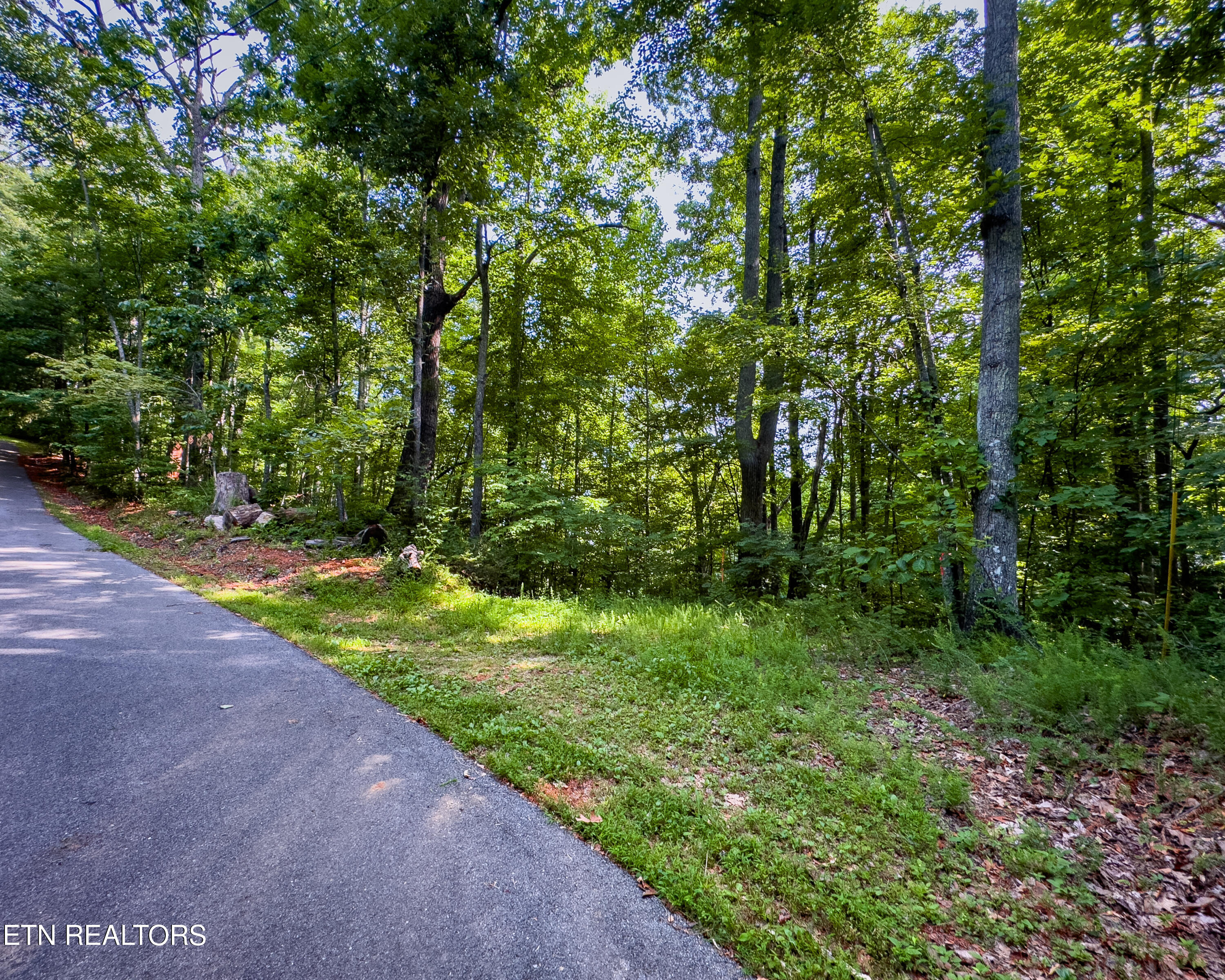 3 Tracts Wilson Hollow Way Sevierville TN 37876