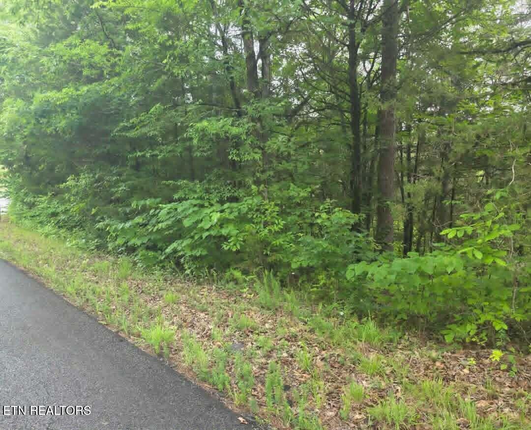 Buck Horn Road Dandridge TN 37725