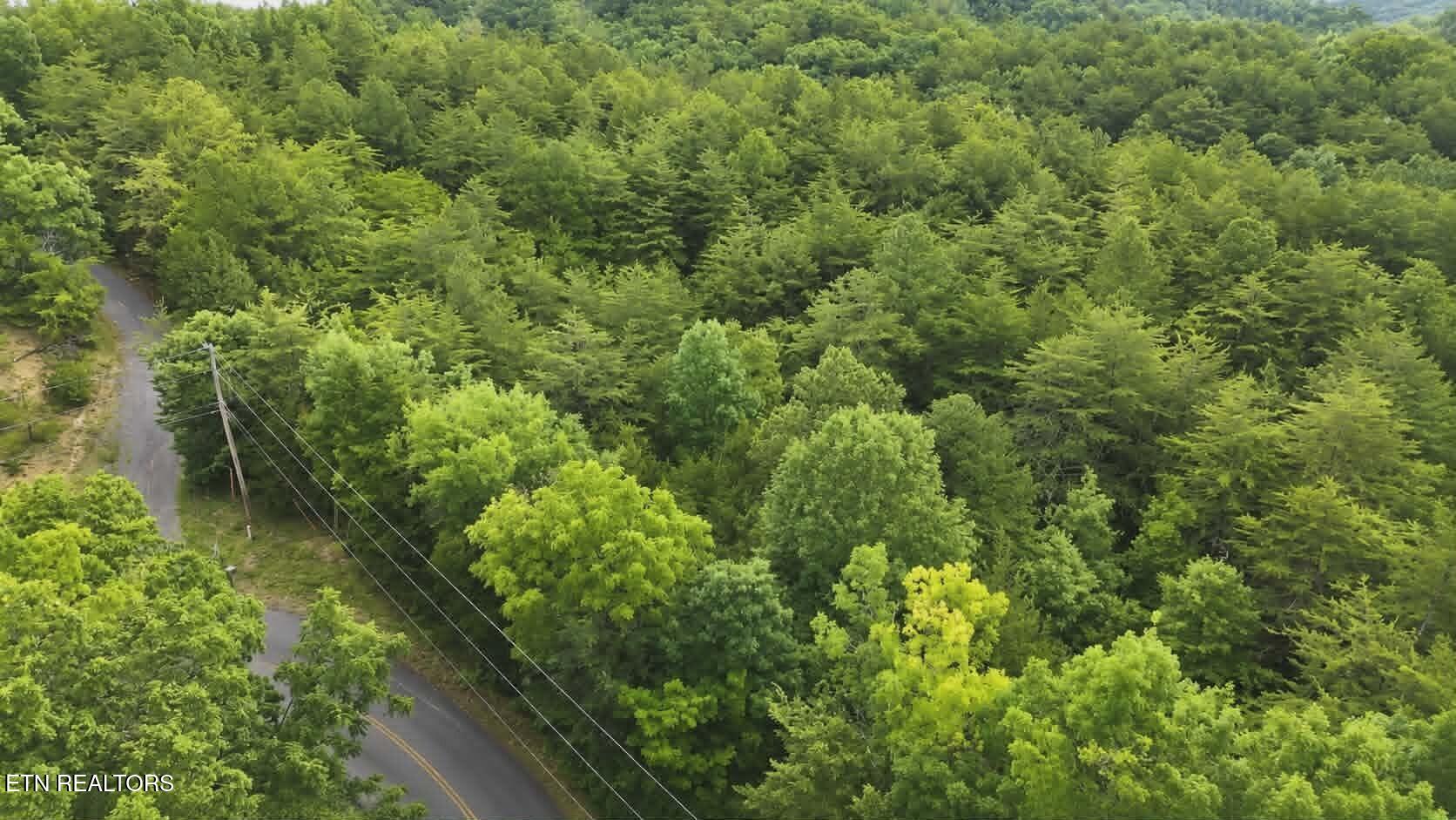 Buck Horn Road Dandridge TN 37725