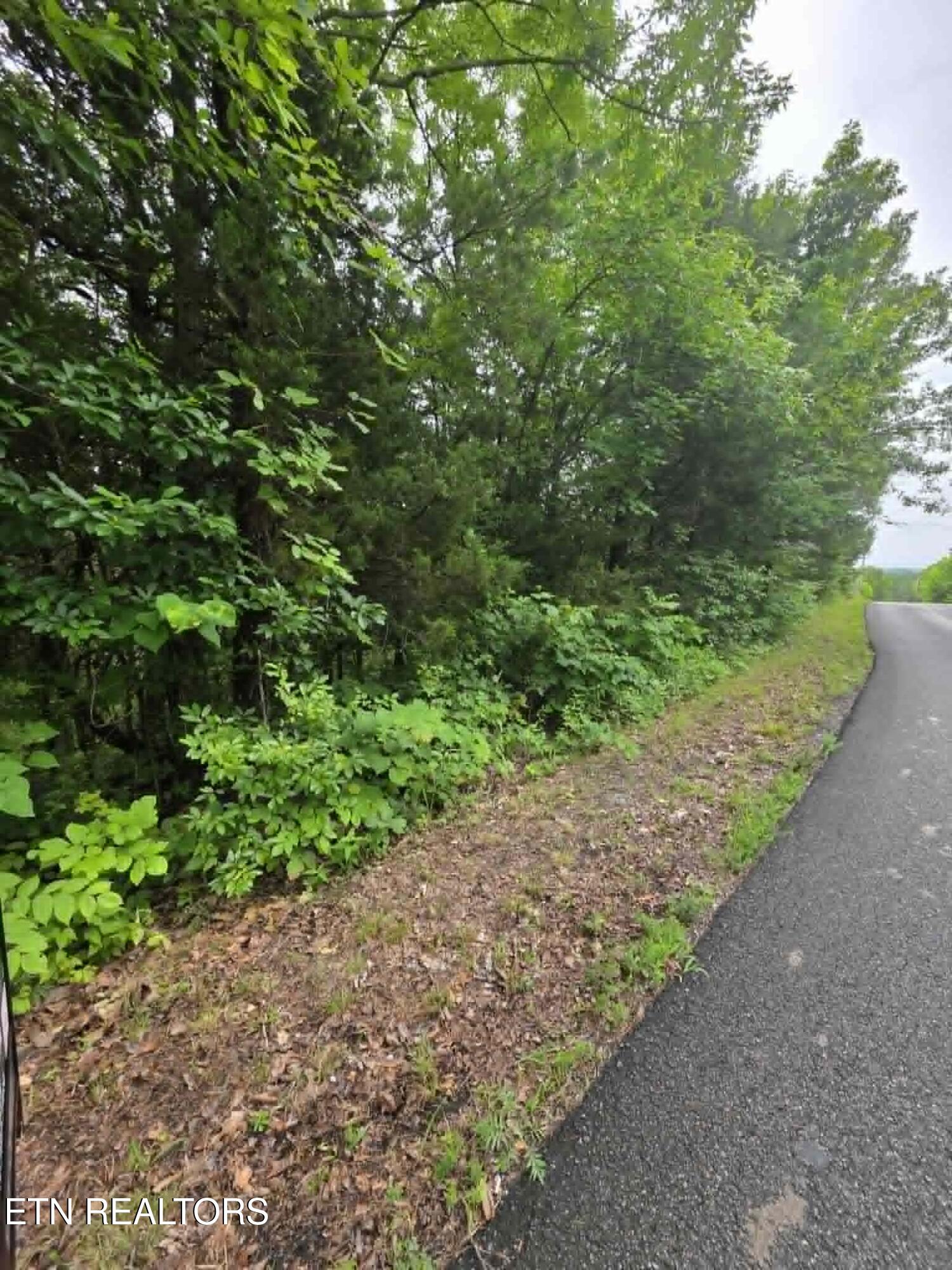 Buck Horn Road Dandridge TN 37725