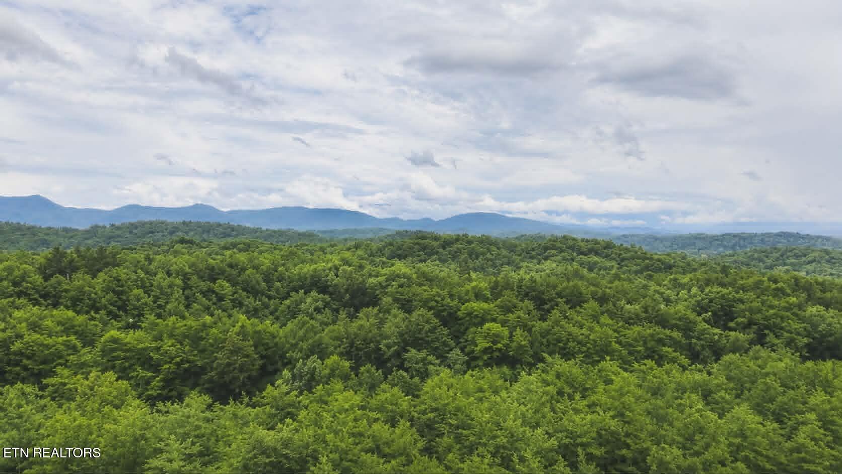 Buck Horn Road Dandridge TN 37725