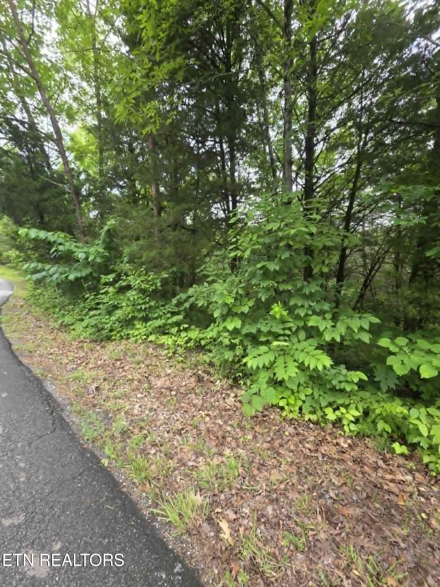 Buck Horn Road Dandridge TN 37725