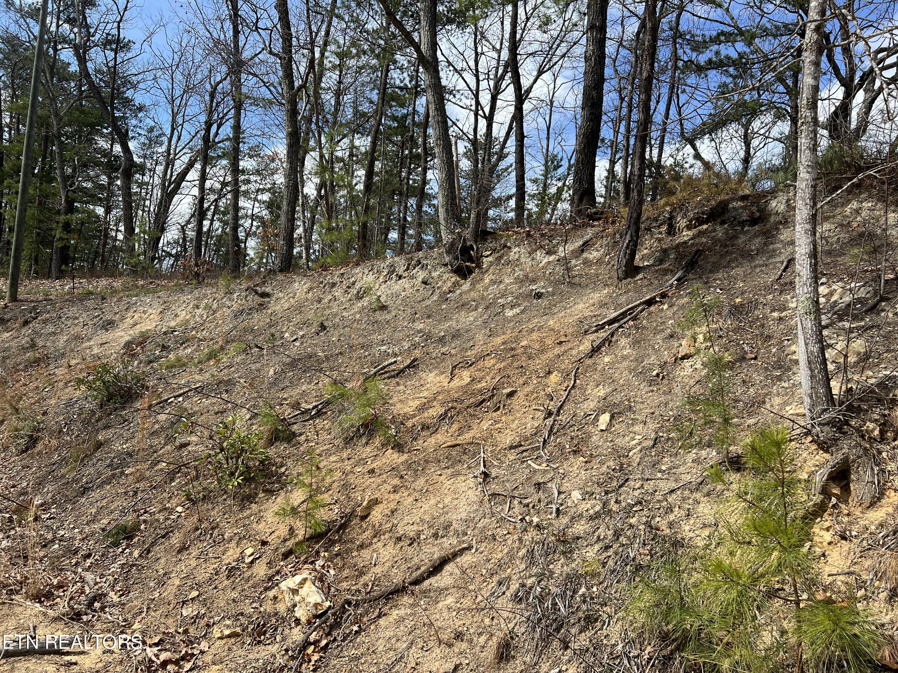 Chestnut Ridge Court Sevierville TN 37876