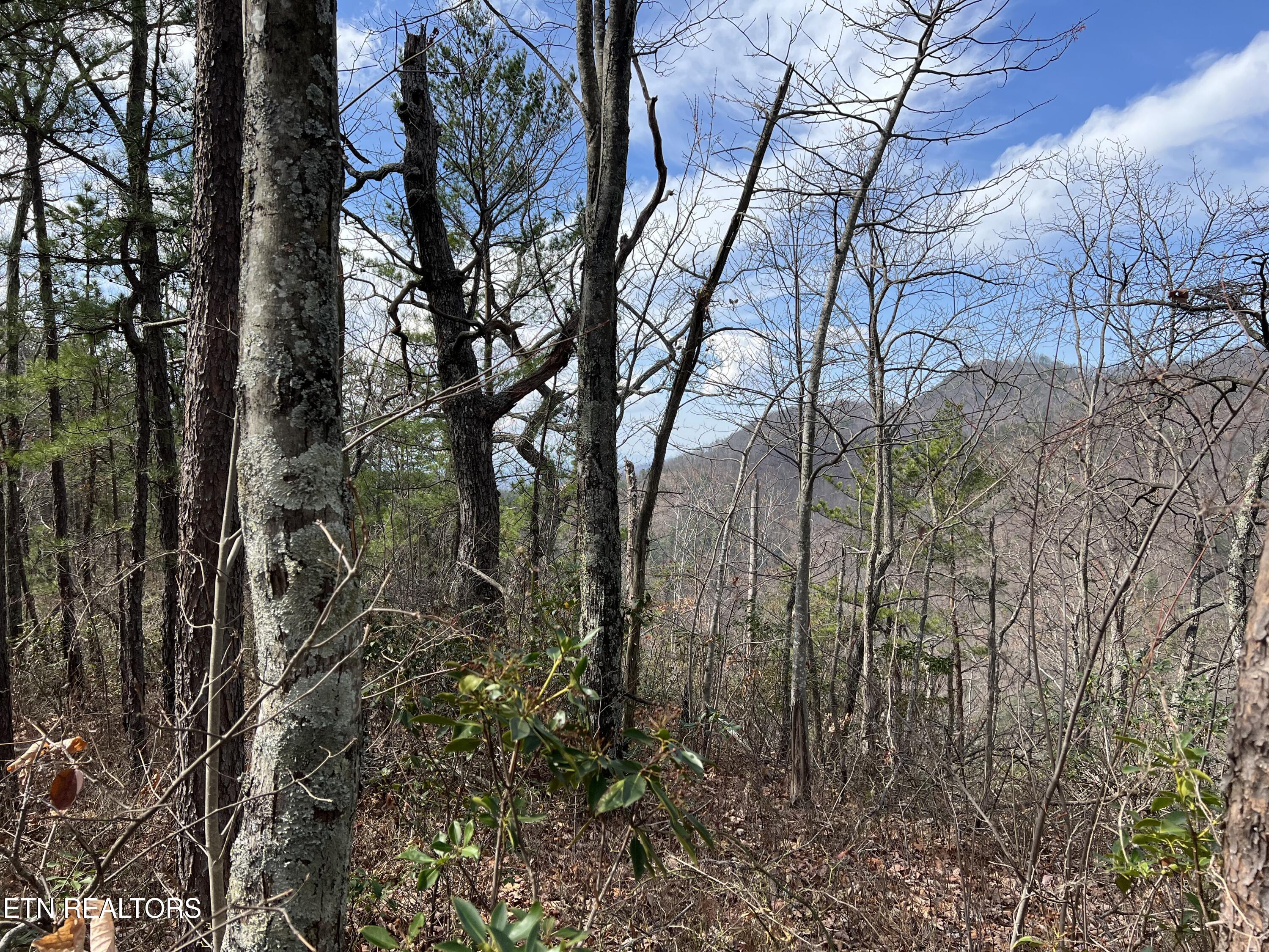 Chestnut Ridge Court Sevierville TN 37876
