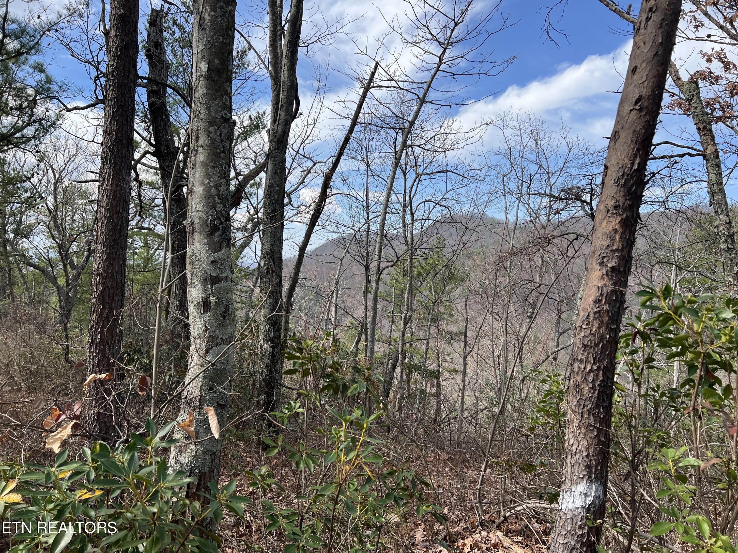 Chestnut Ridge Court Sevierville TN 37876