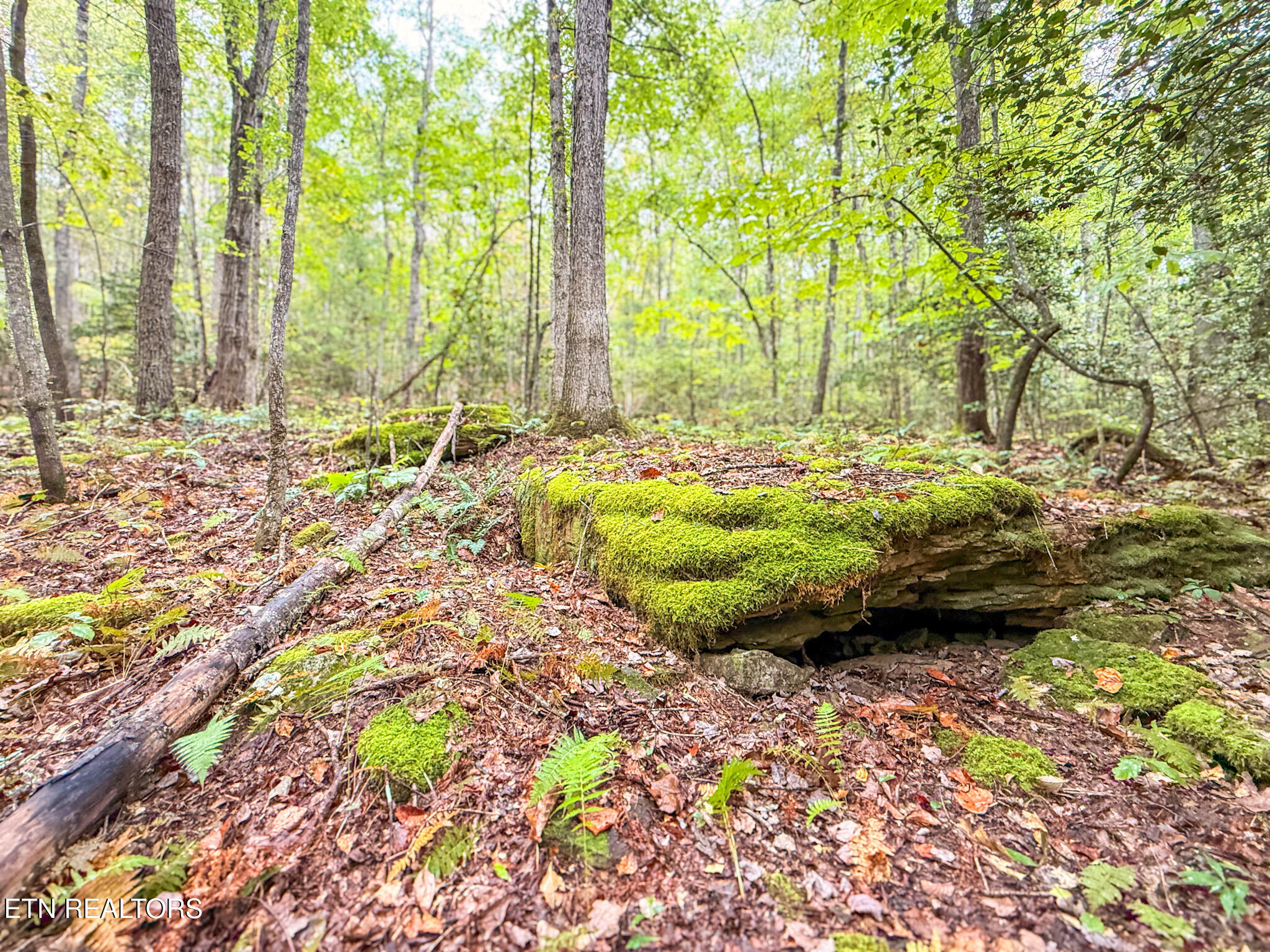 Lot 26 Airport Road Rockwood TN 37854