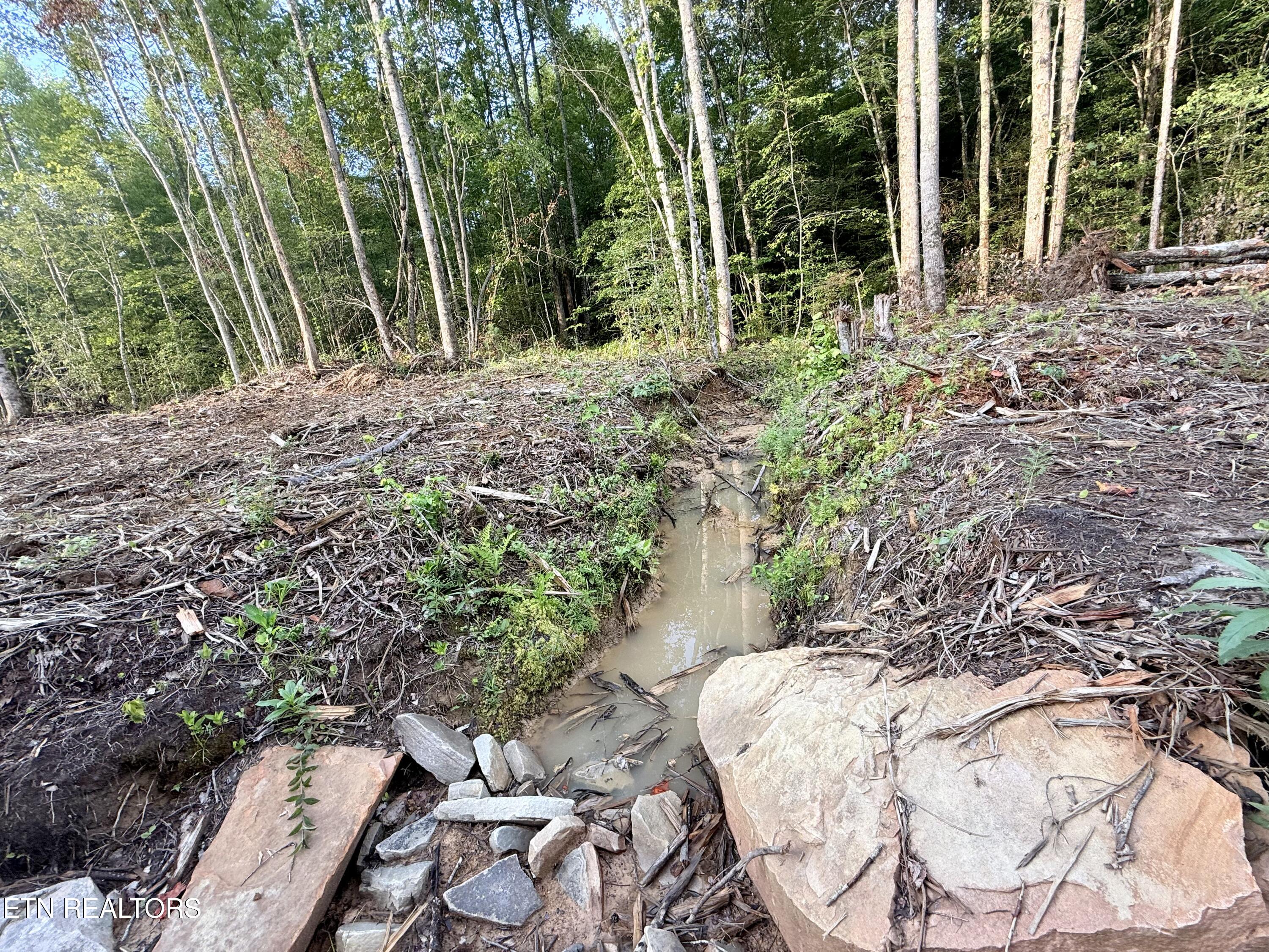 Lot 26 Airport Road Rockwood TN 37854