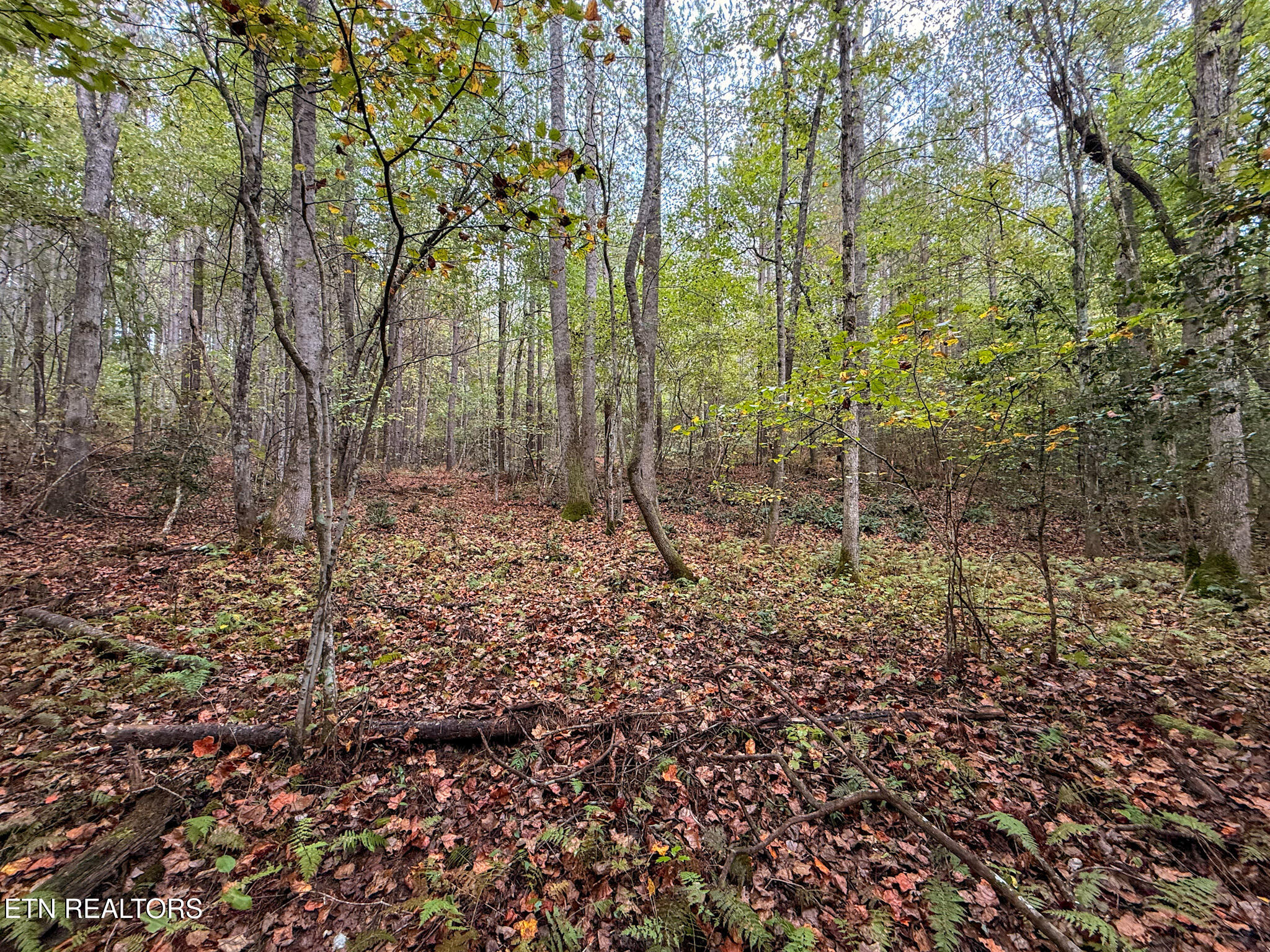 Lot 26 Airport Road Rockwood TN 37854
