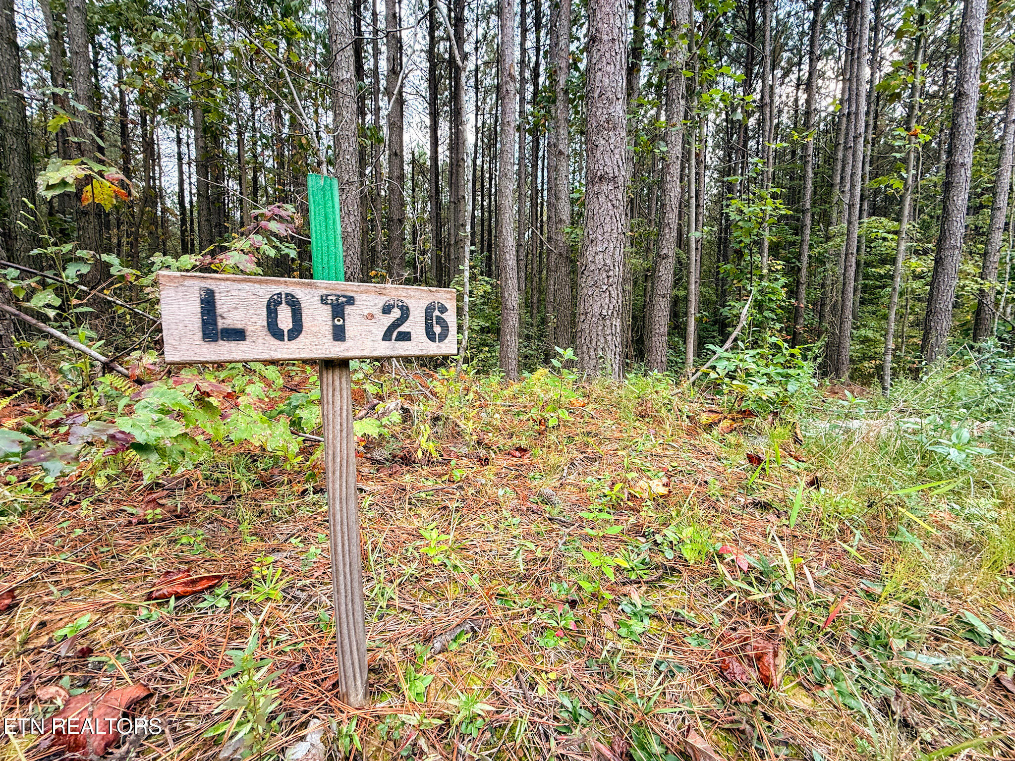 Lot 26 Airport Road Rockwood TN 37854