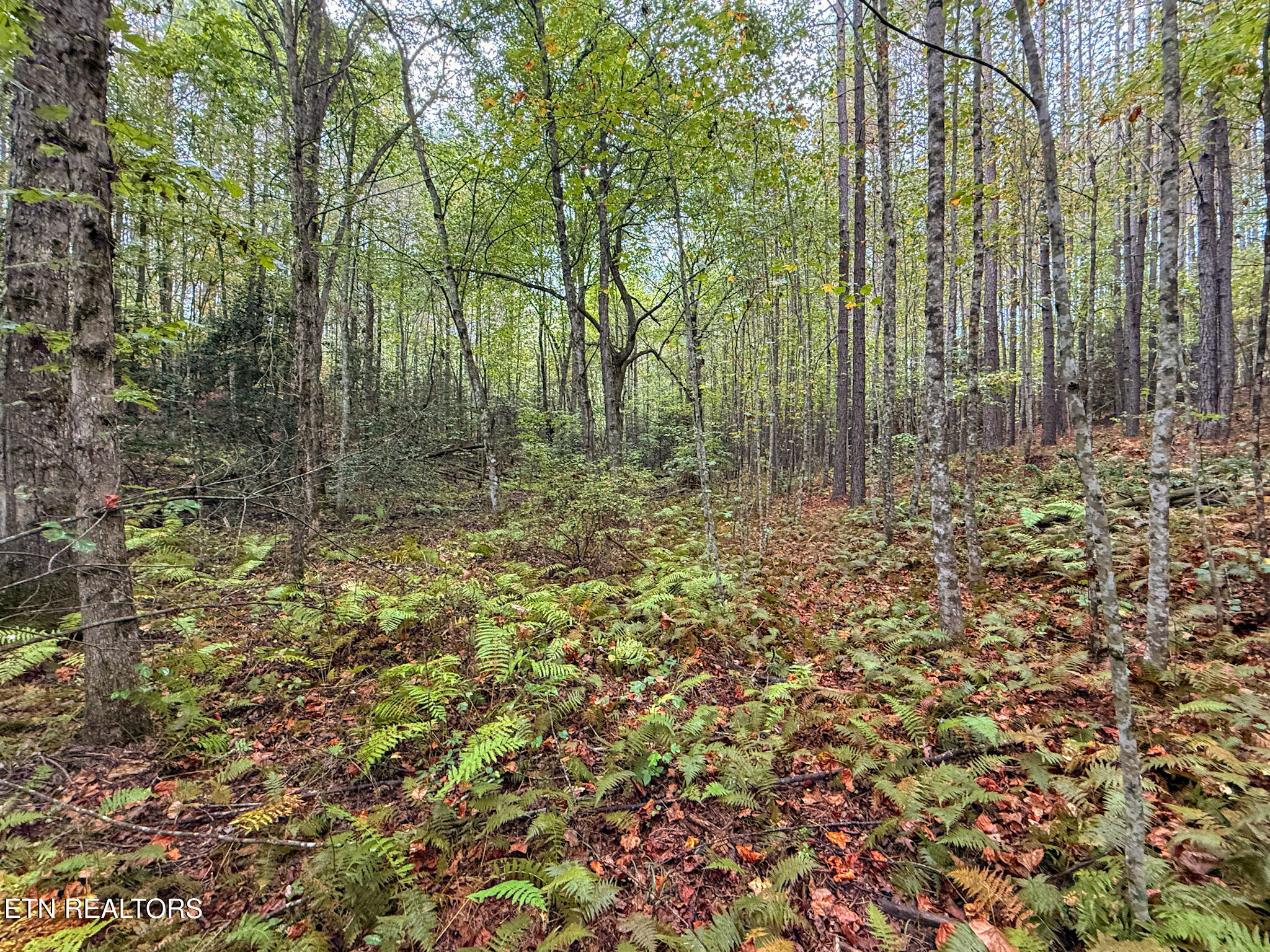 Lot 26 Airport Road Rockwood TN 37854