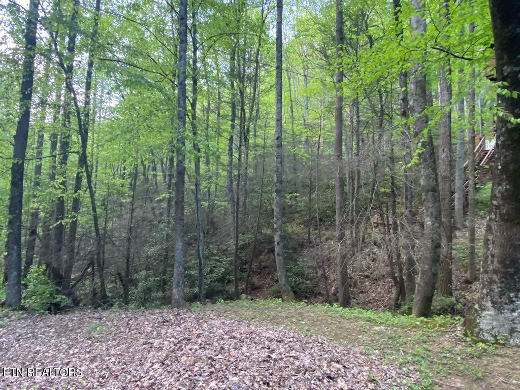 Lot 26 Alpine Drive Sevierville TN 37876
