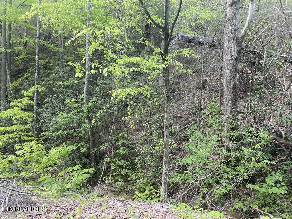 Lot 26 Alpine Drive Sevierville TN 37876