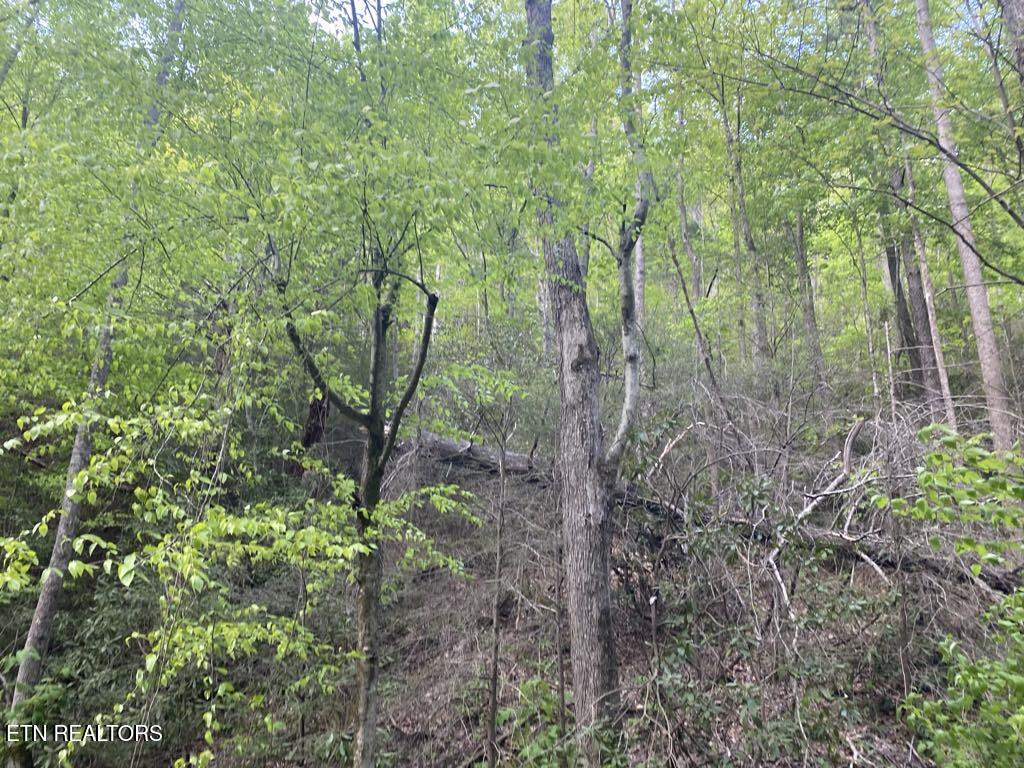 Lot 26 Alpine Drive Sevierville TN 37876