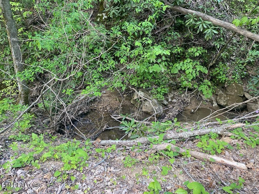 Lot 26 Alpine Drive Sevierville TN 37876