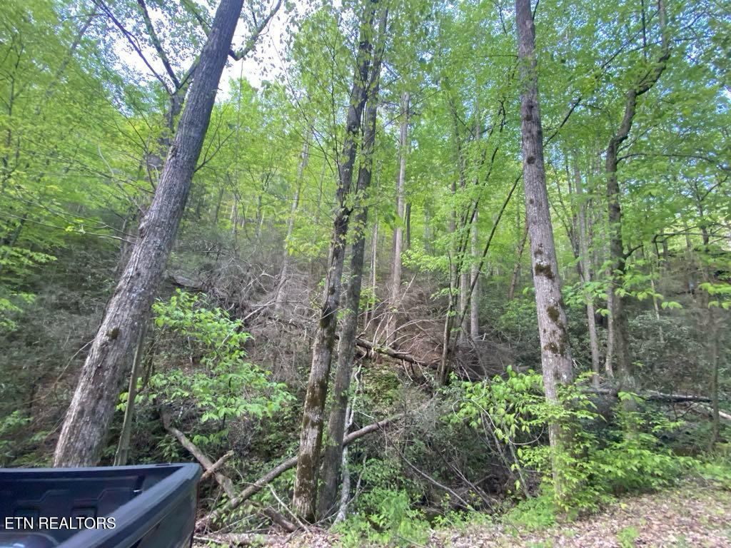 Lot 26 Alpine Drive Sevierville TN 37876