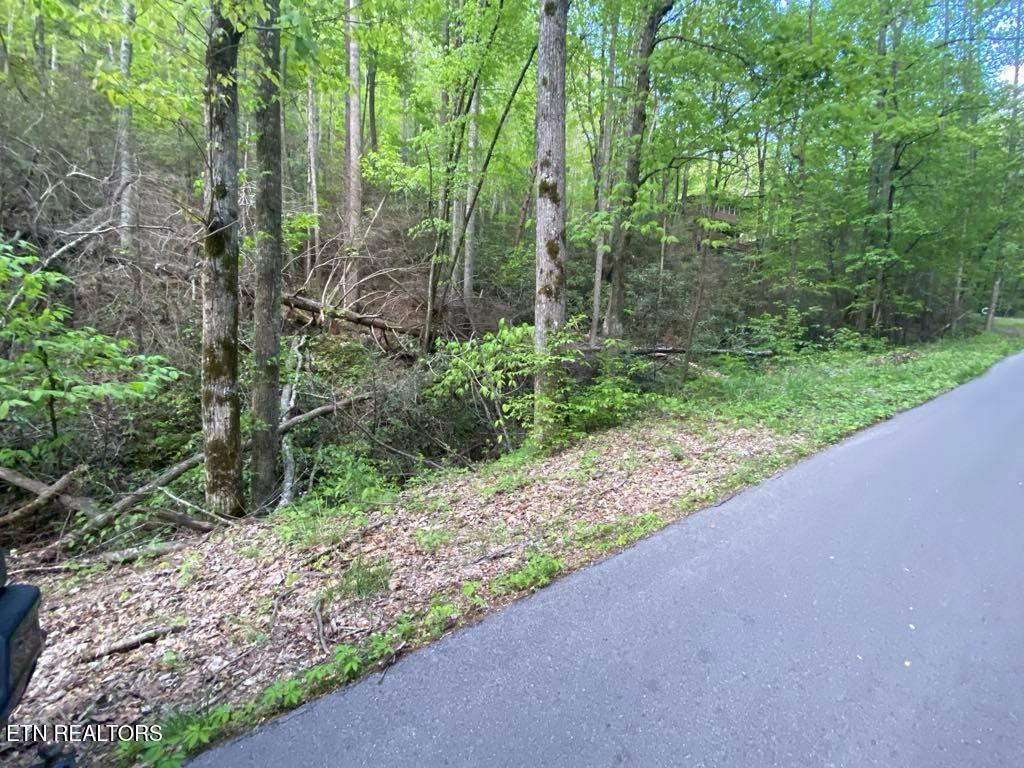 Lot 26 Alpine Drive Sevierville TN 37876