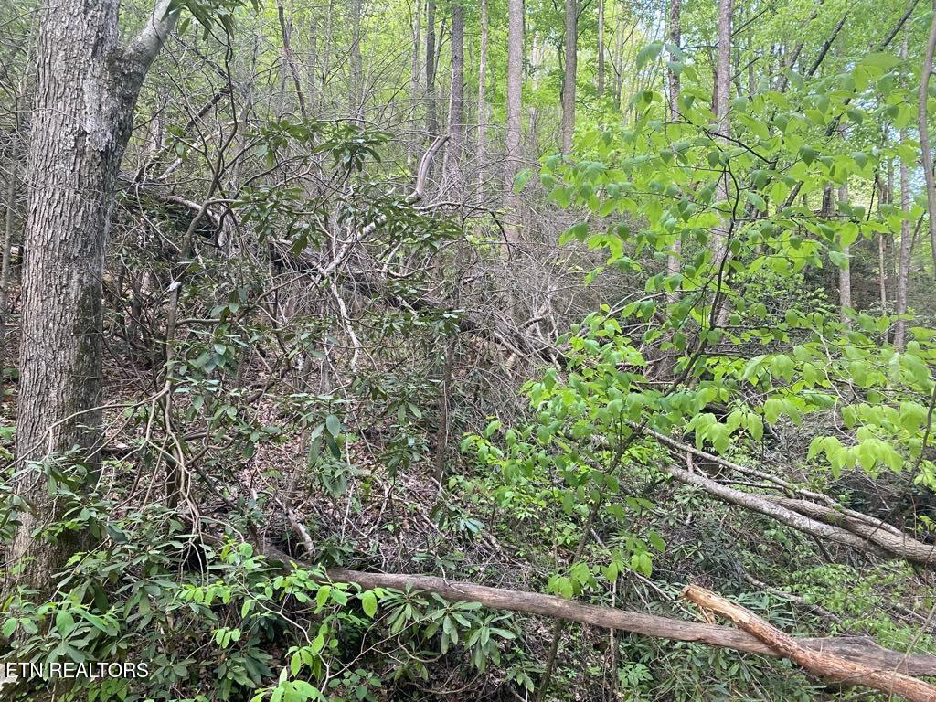 Lot 26 Alpine Drive Sevierville TN 37876
