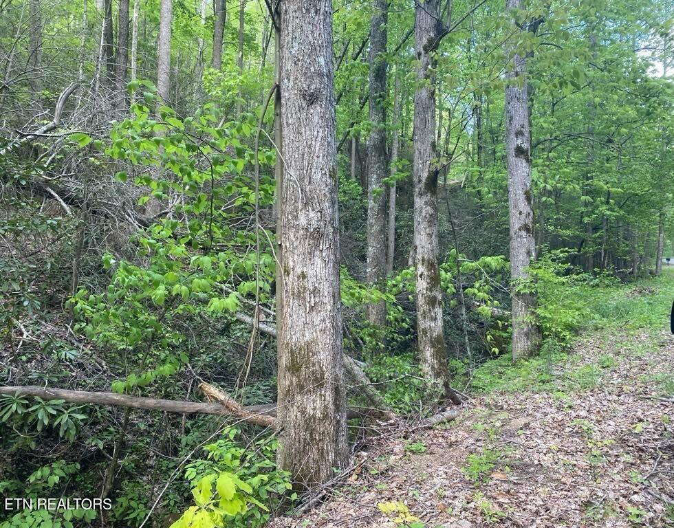 Lot 26 Alpine Drive Sevierville TN 37876