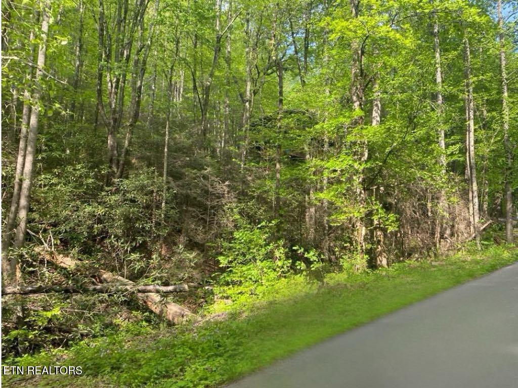 Lot 26 Alpine Drive Sevierville TN 37876