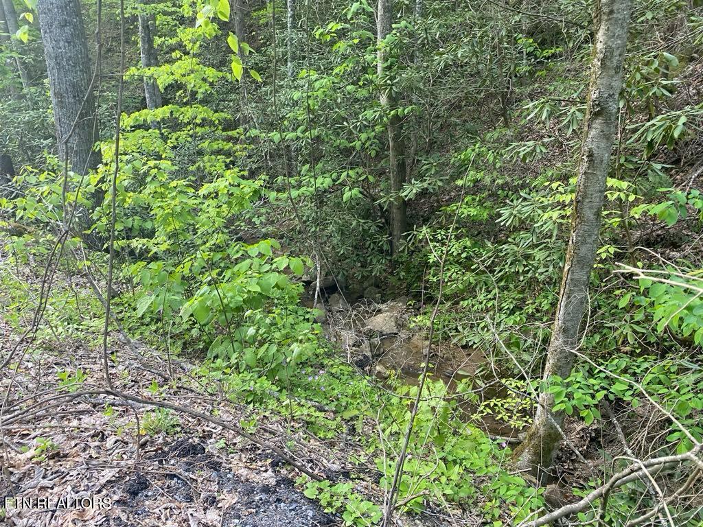Lot 26 Alpine Drive Sevierville TN 37876