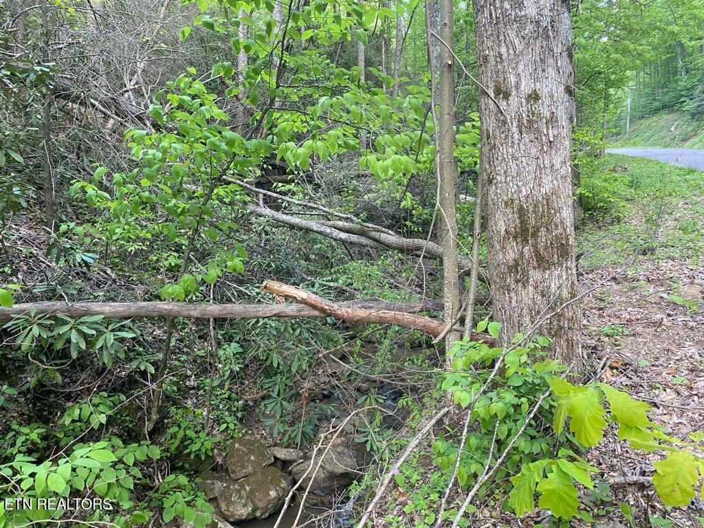 Lot 26 Alpine Drive Sevierville TN 37876