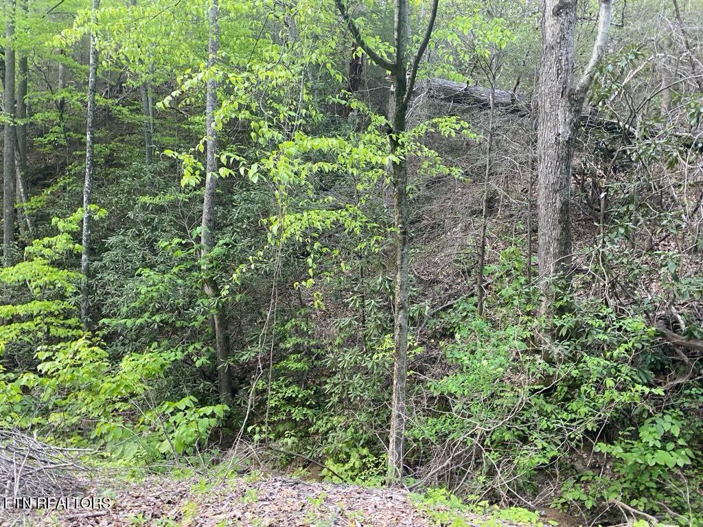 Lot 26 Alpine Drive Sevierville TN 37876
