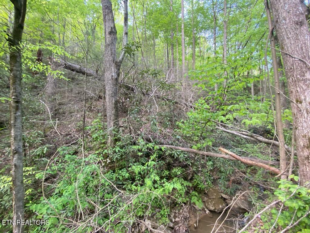 Lot 26 Alpine Drive Sevierville TN 37876