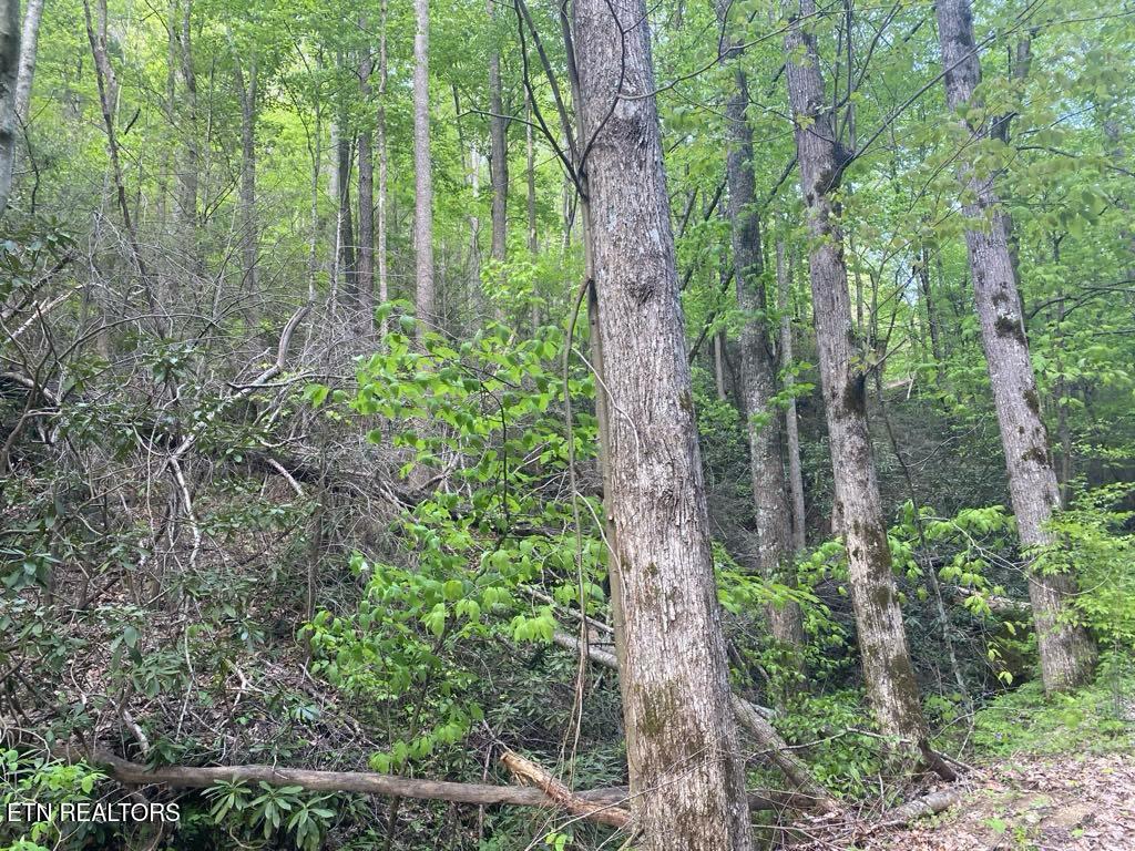 Lot 26 Alpine Drive Sevierville TN 37876