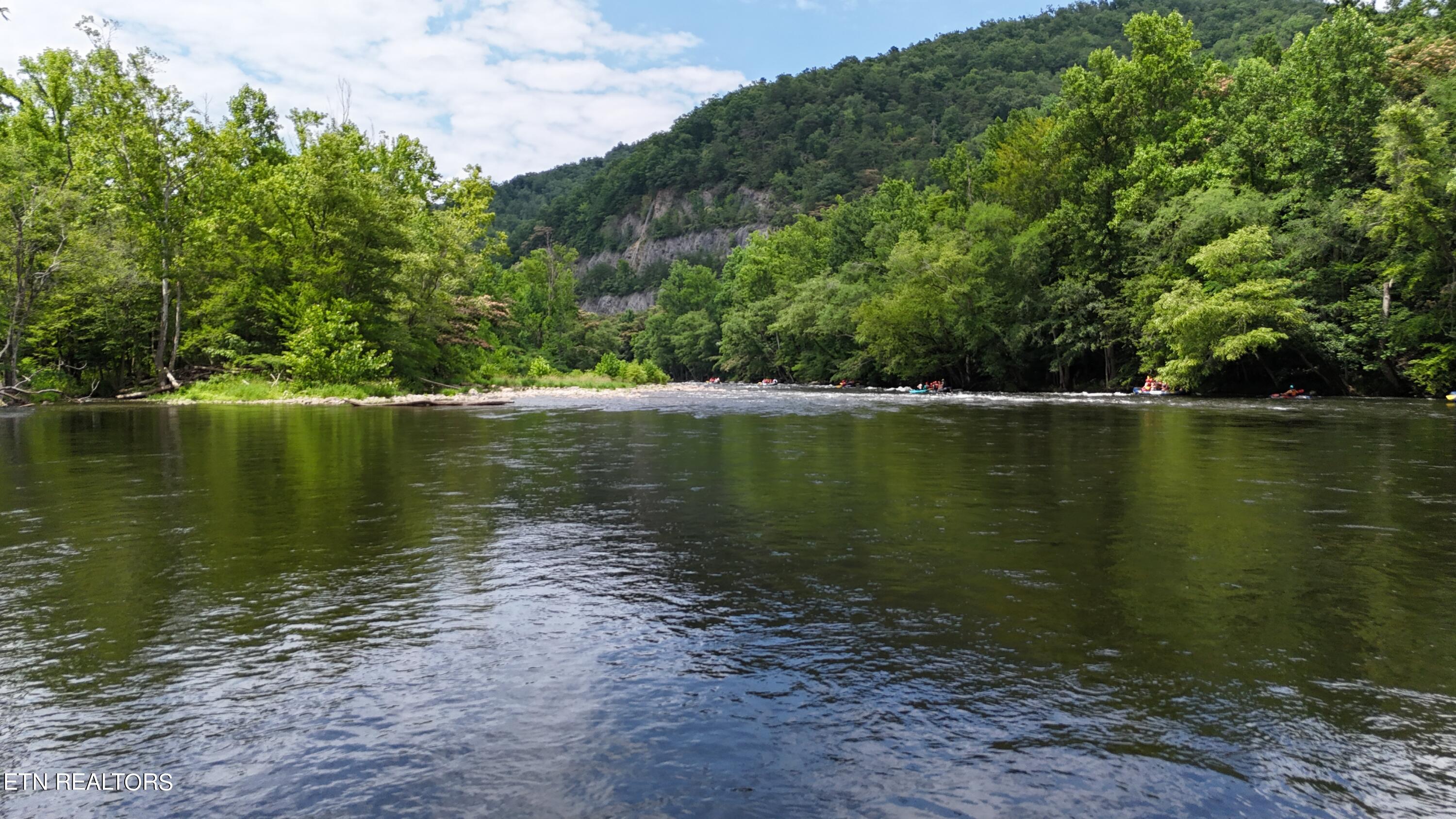 4320 Barnes Hollow Road Cosby TN 37722