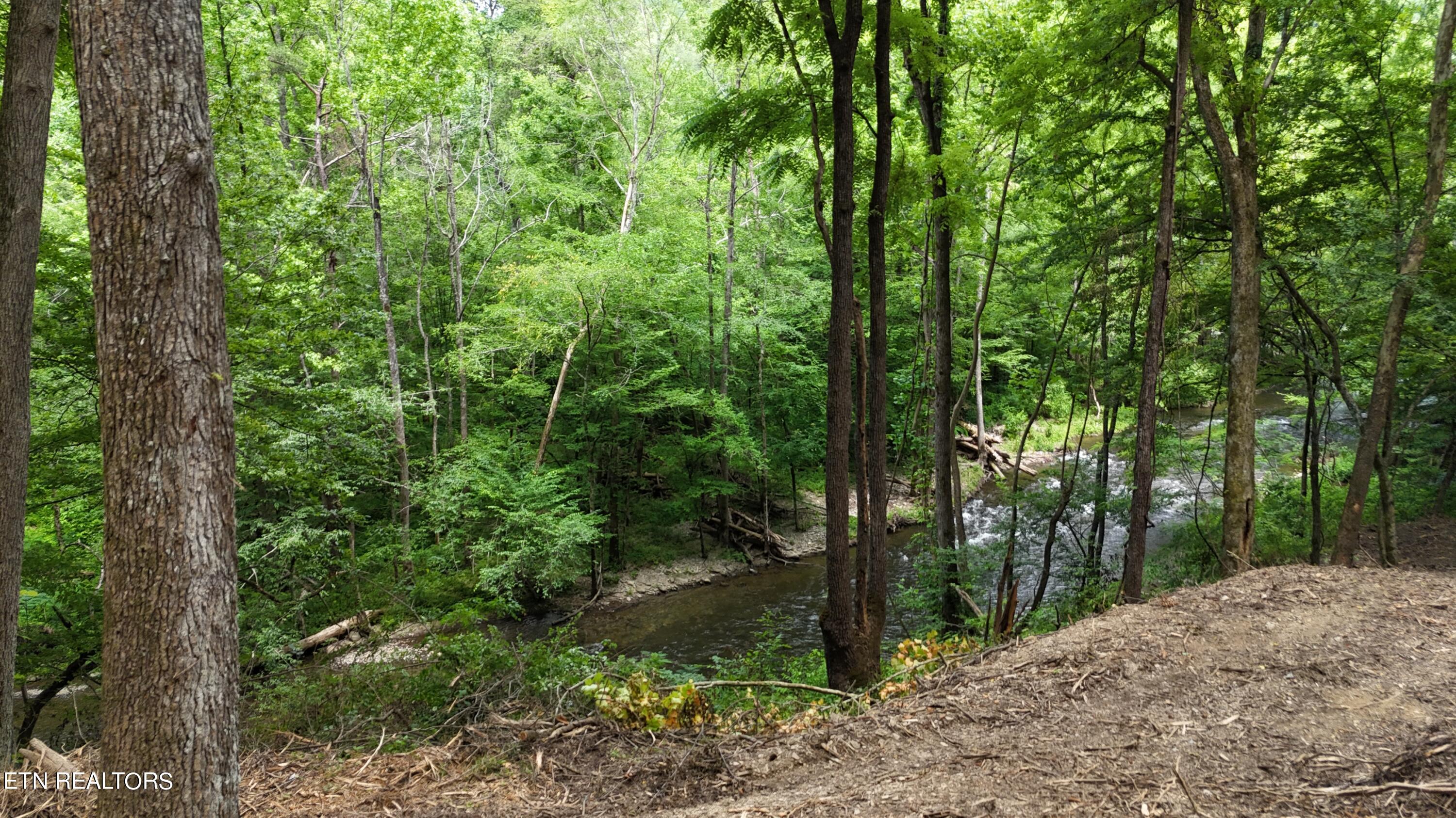 4320 Barnes Hollow Road Cosby TN 37722