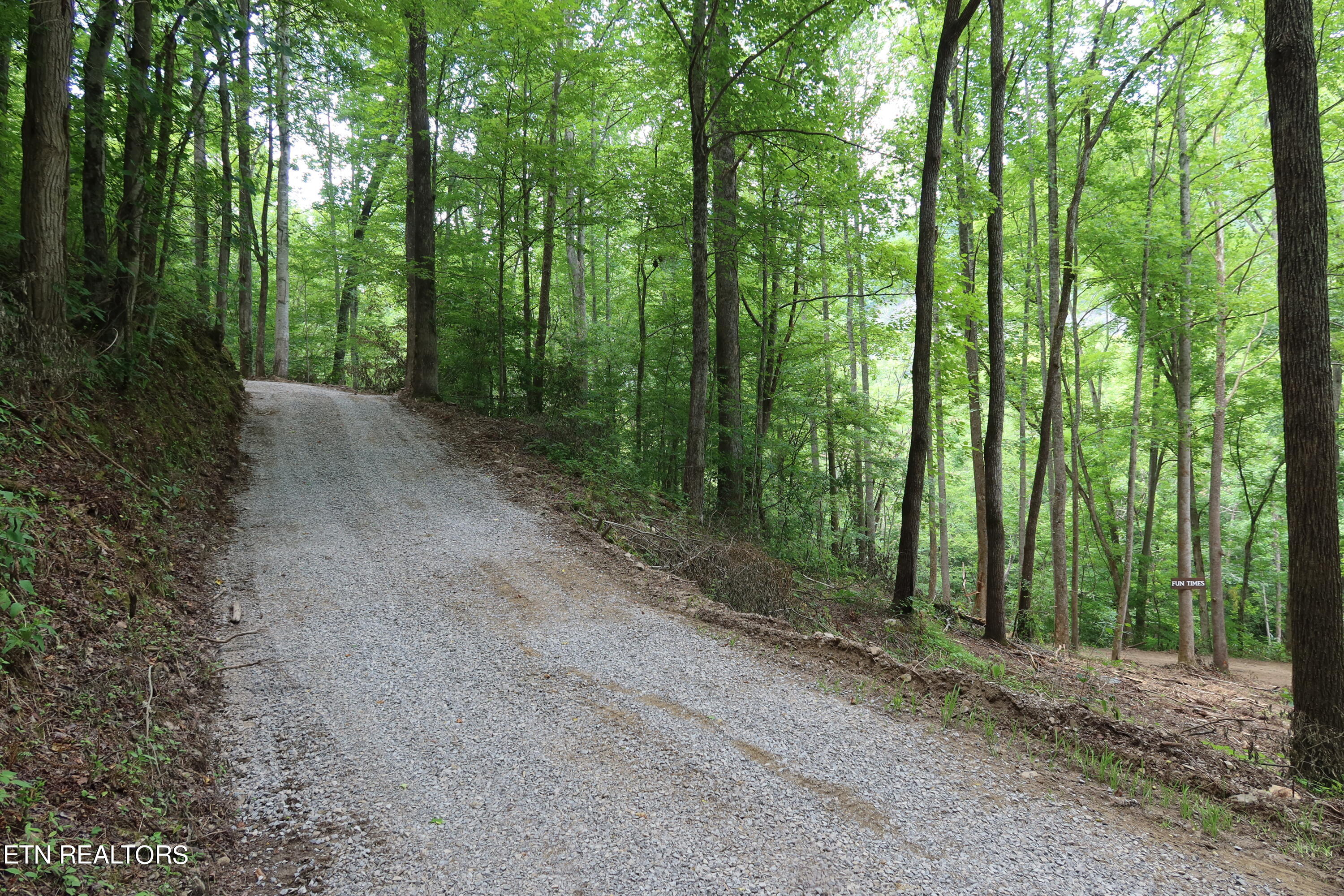 4320 Barnes Hollow Road Cosby TN 37722
