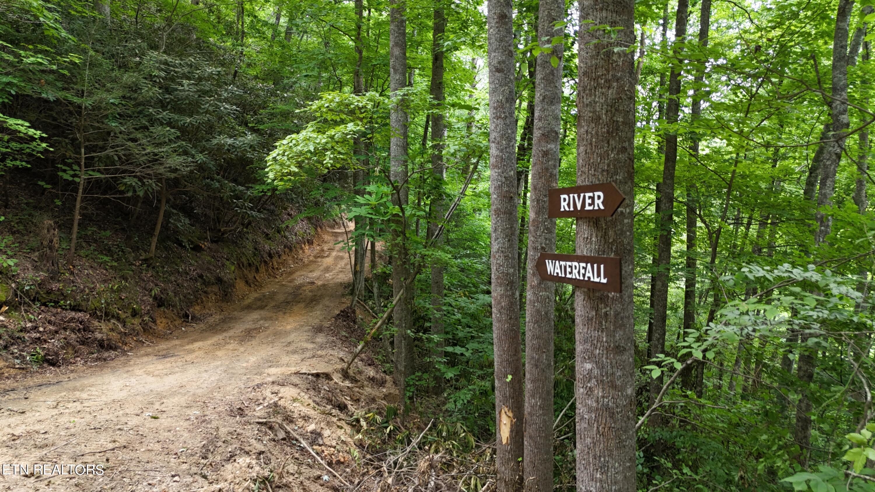 4320 Barnes Hollow Road Cosby TN 37722