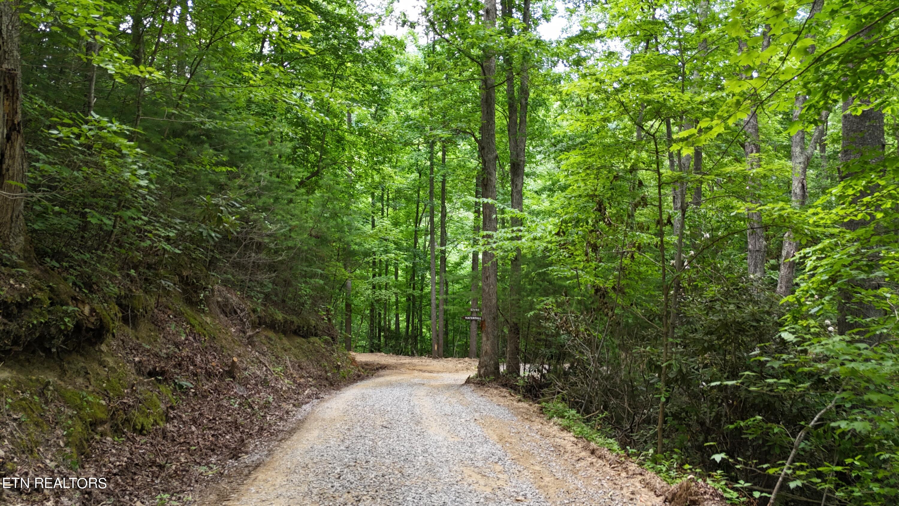 4320 Barnes Hollow Road Cosby TN 37722