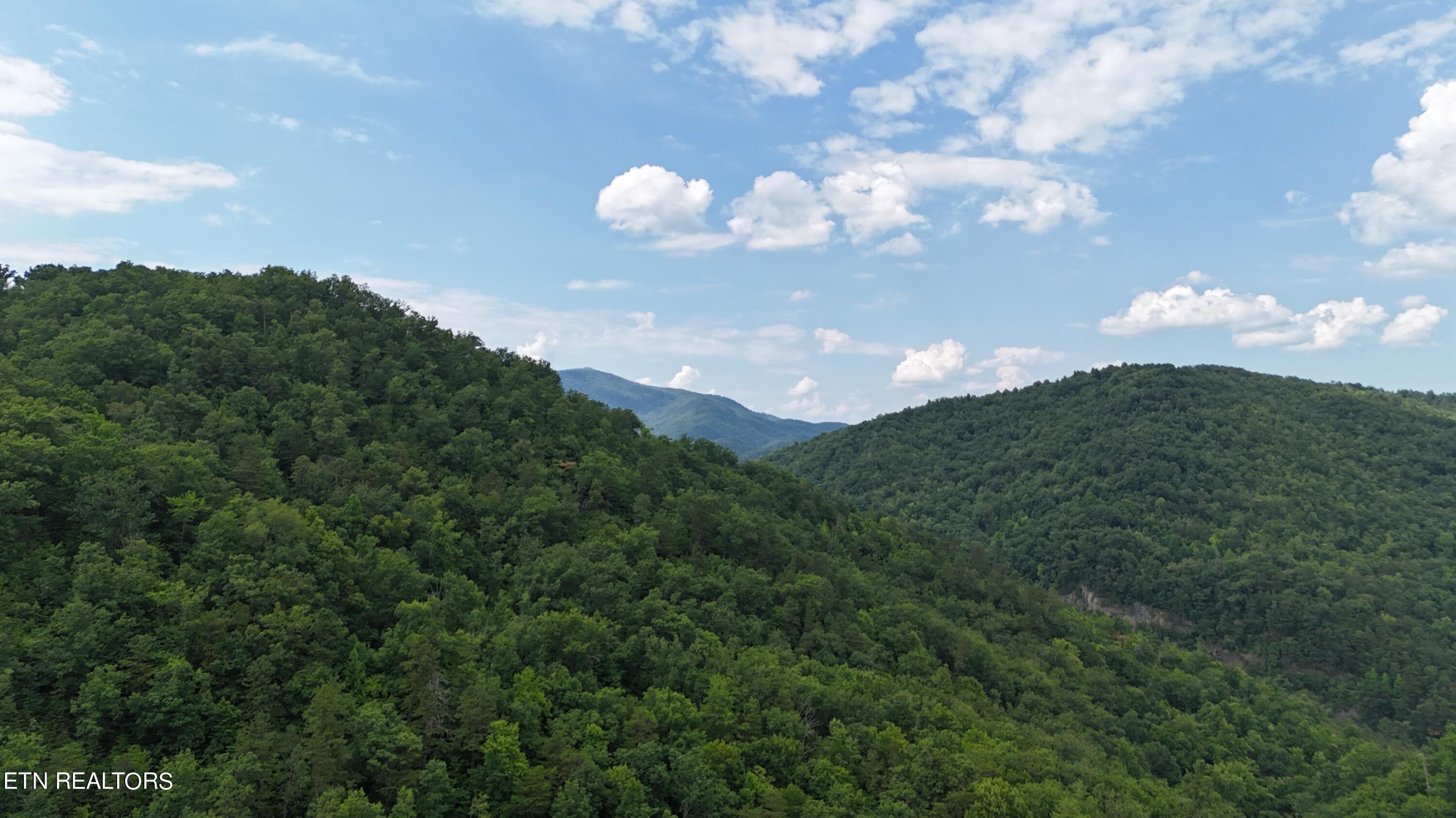 4320 Barnes Hollow Road Cosby TN 37722